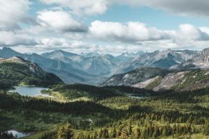 alex-gorey-LXsChQXNqWE-unsplash222